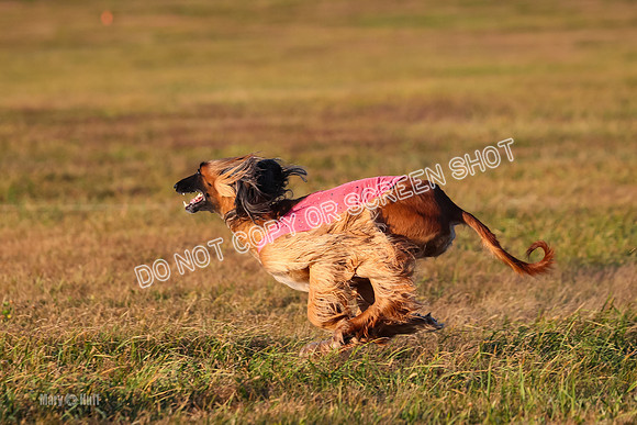 1) Prelim Fch 3, Ghissa Freya-4601