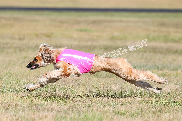 2) Finals Fch 2, Freya Nike-5828