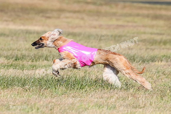 2) Finals Fch 2, Freya Nike-5832