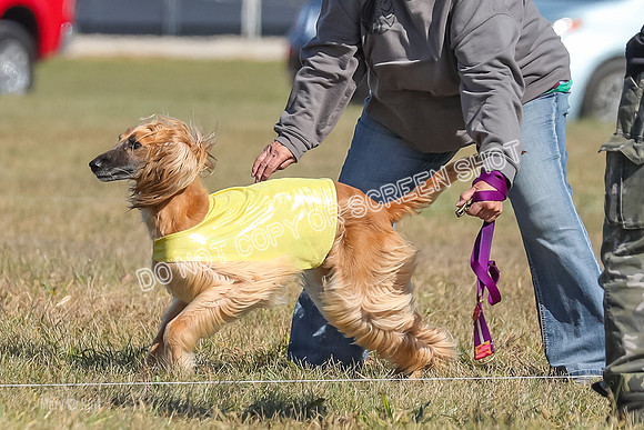 2) Finals Veteran, Tango-5961