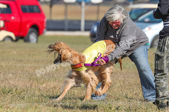 2) Finals Veteran, Tango-5959