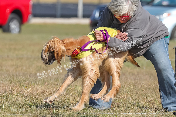 2) Finals Veteran, Tango-5958