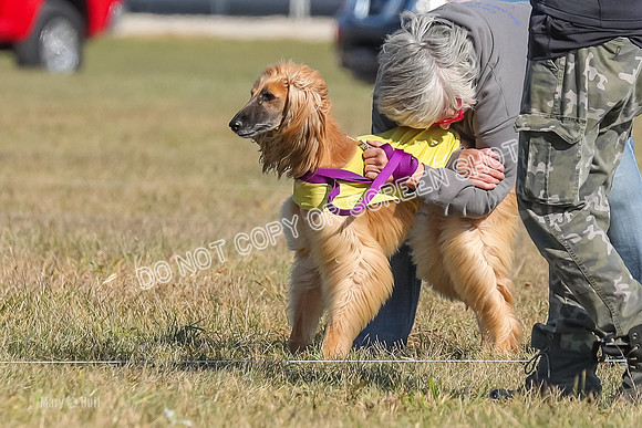 2) Finals Veteran, Tango-5954