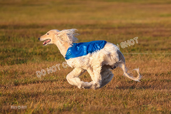 1) Prelim Fch 1, Nike Nrcissa Feniq-4548