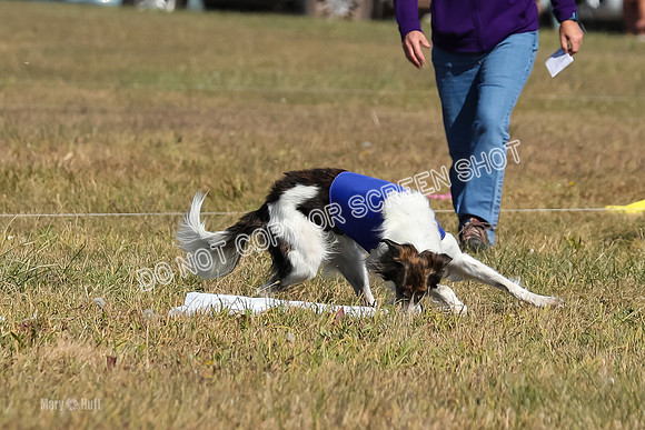 2) Finals Fch 1, Kenai Harley Finnegan-6379