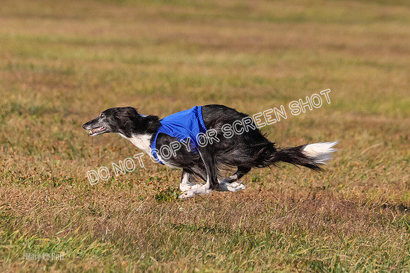 1) Prelim Fch 1, Finnegan Grade A Saucy-4818