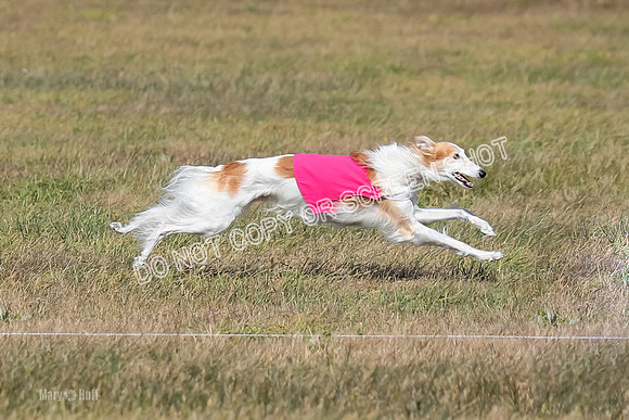 2) Finals Fch 1, Kenai Harley Finnegan-6378