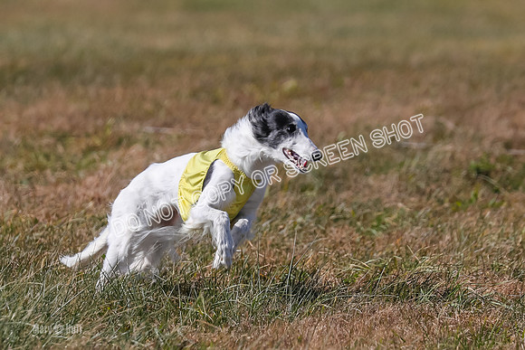 2) Finals Fch 1, Kenai Harley Finnegan-6352