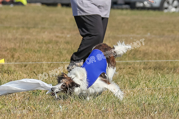2) Finals Fch 1, Kenai Harley Finnegan-6384