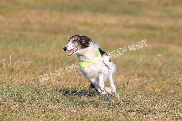 1) Prelim Fch 1, Finnegan Grade A Saucy-4799