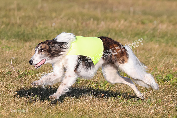 1) Prelim Fch 1, Finnegan Grade A Saucy-4809