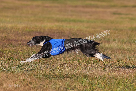 1) Prelim Fch 1, Finnegan Grade A Saucy-4821