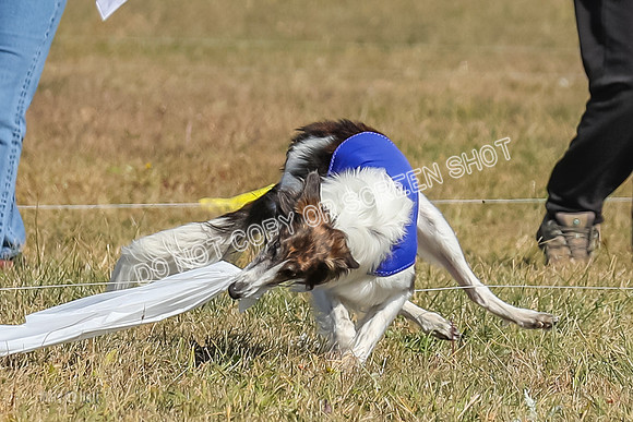 2) Finals Fch 1, Kenai Harley Finnegan-6382