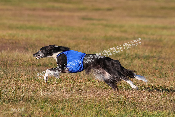 1) Prelim Fch 1, Finnegan Grade A Saucy-4820