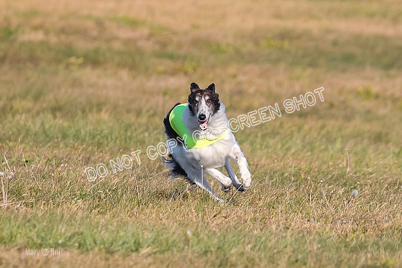 1) Prelim Fch 1, Finnegan Grade A Saucy-4798