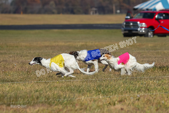 2) Finals Fch 1, Kenai Harley Finnegan-6319