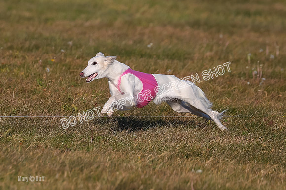 1) Prelim Fch 3, Joker Chyna-4874