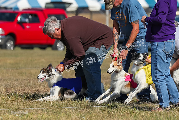 2) Finals Fch 1, Kenai Harley Finnegan-6308