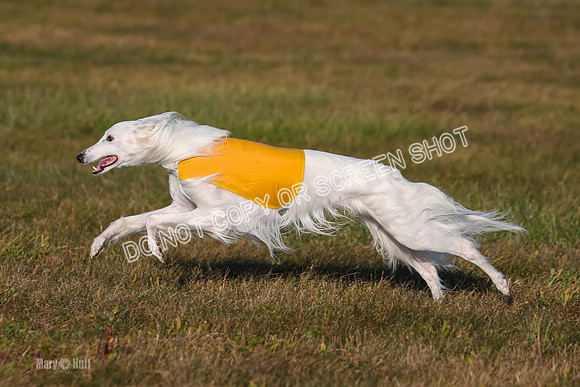 1) Prelim Fch 3, Joker Chyna-4907