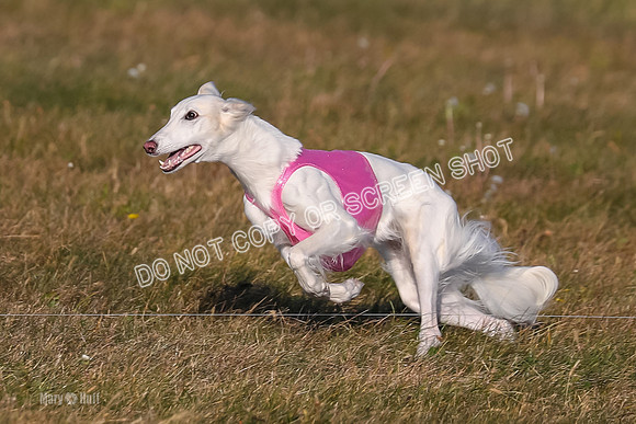 1) Prelim Fch 3, Joker Chyna-4873