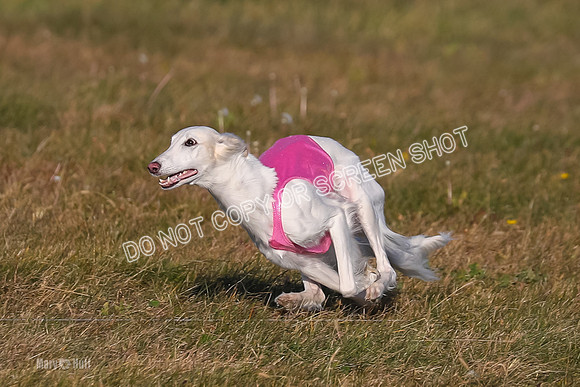1) Prelim Fch 3, Joker Chyna-4872