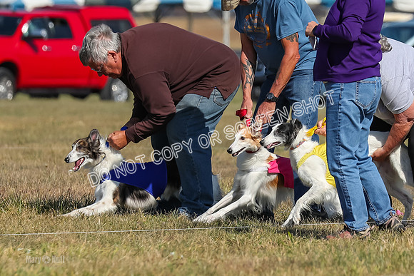2) Finals Fch 1, Kenai Harley Finnegan-6307