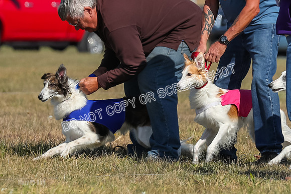 2) Finals Fch 1, Kenai Harley Finnegan-6306