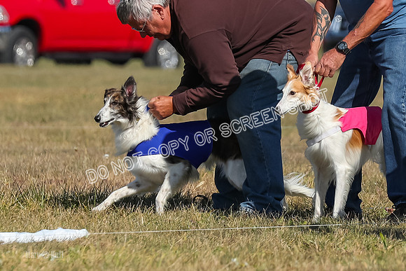 2) Finals Fch 1, Kenai Harley Finnegan-6304