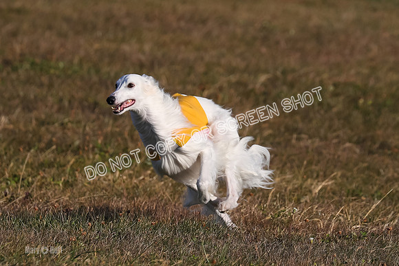 1) Prelim Fch 3, Joker Chyna-4886