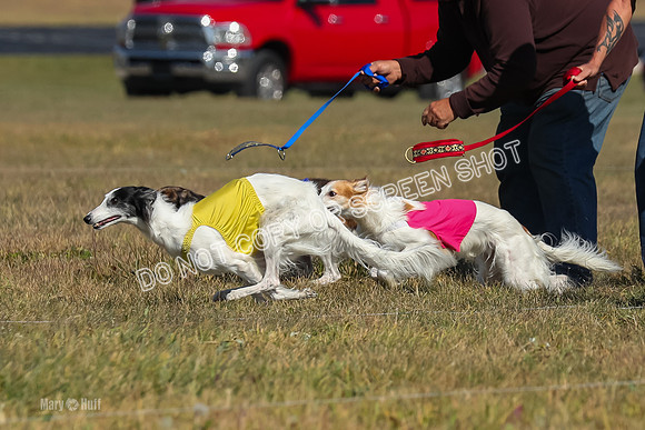 2) Finals Fch 1, Kenai Harley Finnegan-6316