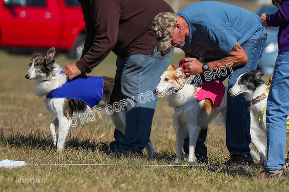 2) Finals Fch 1, Kenai Harley Finnegan-6302
