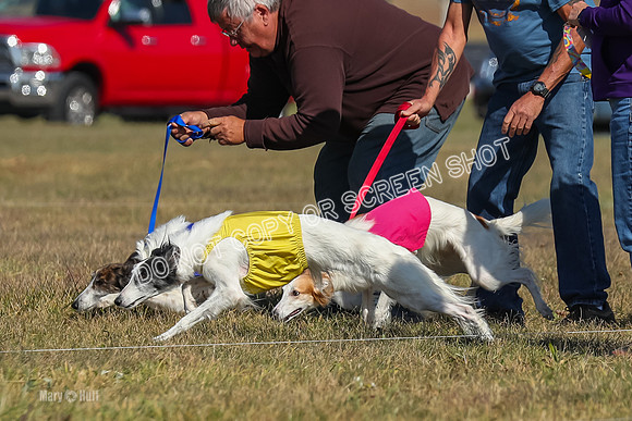 2) Finals Fch 1, Kenai Harley Finnegan-6314