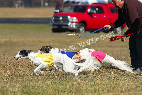 2) Finals Fch 1, Kenai Harley Finnegan-6317