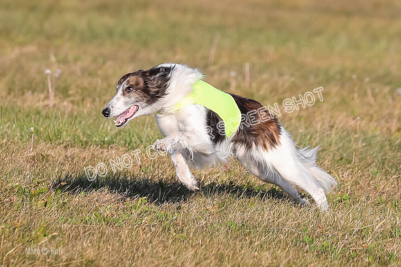 1) Prelim Fch 1, Finnegan Grade A Saucy-4805