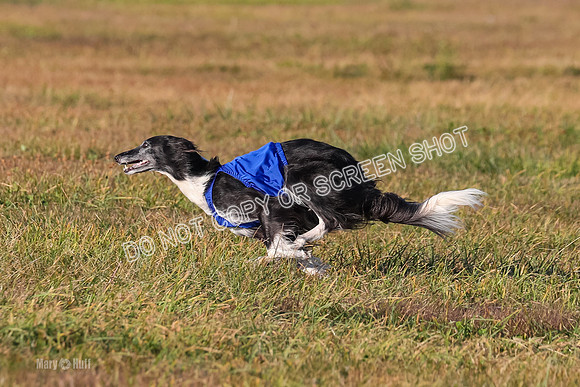 1) Prelim Fch 1, Finnegan Grade A Saucy-4813