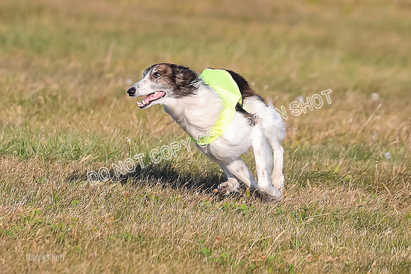 1) Prelim Fch 1, Finnegan Grade A Saucy-4803