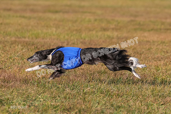 1) Prelim Fch 1, Finnegan Grade A Saucy-4816