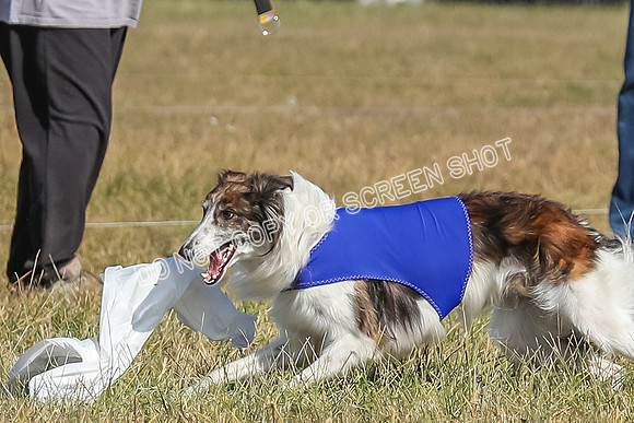 2) Finals Fch 1, Kenai Harley Finnegan-6388