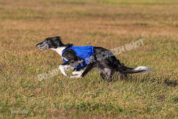 1) Prelim Fch 1, Finnegan Grade A Saucy-4814