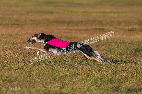 1) Prelim Open 2, Blazer Rocket-4748