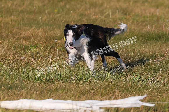 1) Prelim Open 2, Blazer Rocket-4728