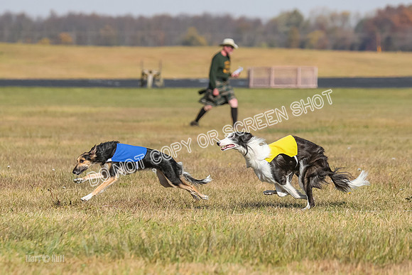 2) Finals Open 1, Blazer Foxy Rocket-6156