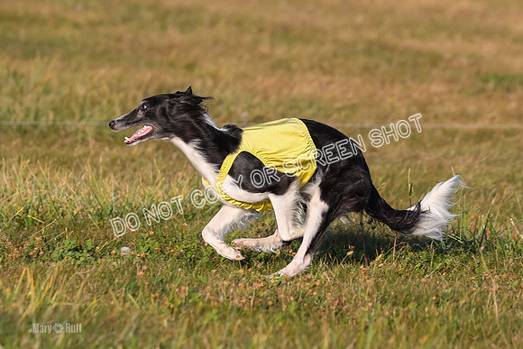 1) Prelim Open 3, Nara Starr-4782