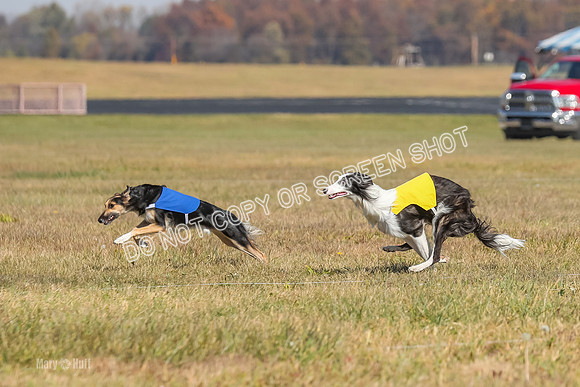 2) Finals Open 1, Blazer Foxy Rocket-6152