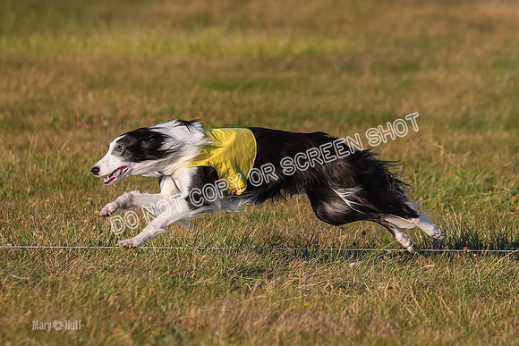 1) Prelim Open 2, Blazer Rocket-4739