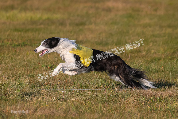 1) Prelim Open 2, Blazer Rocket-4738