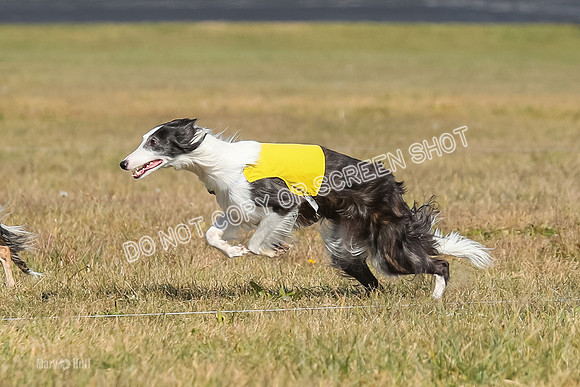 2) Finals Open 1, Blazer Foxy Rocket-6153