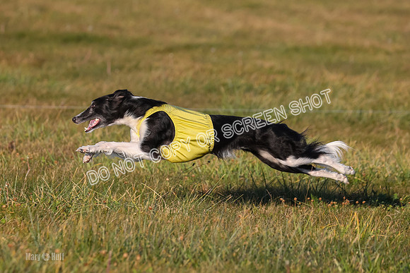 1) Prelim Open 3, Nara Starr-4784