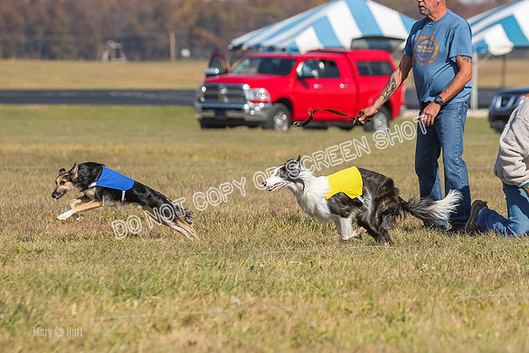 2) Finals Open 1, Blazer Foxy Rocket-6149