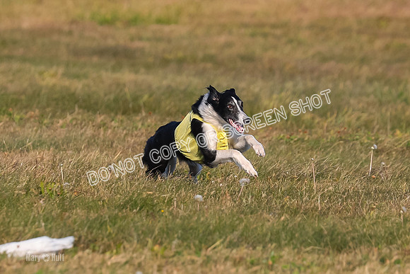 1) Prelim Open 3, Nara Starr-4762